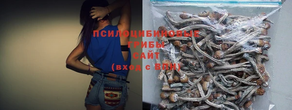 первитин Богородицк