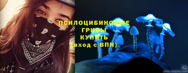 первитин Богородицк