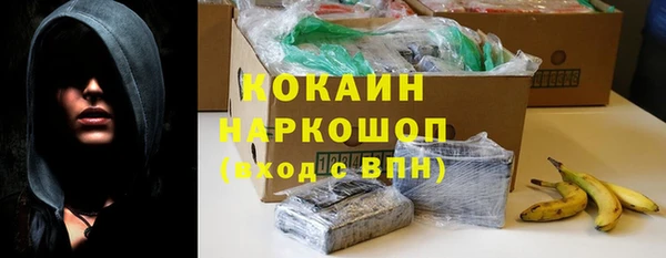 тгк Богданович