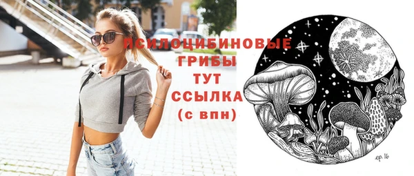 первитин Богородицк