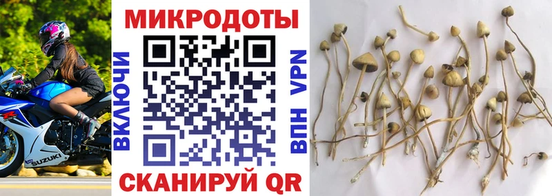 Галлюциногенные грибы Psilocybe  Купить  Арзамас 